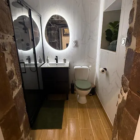 Le Patio Secret Apartment Rodez